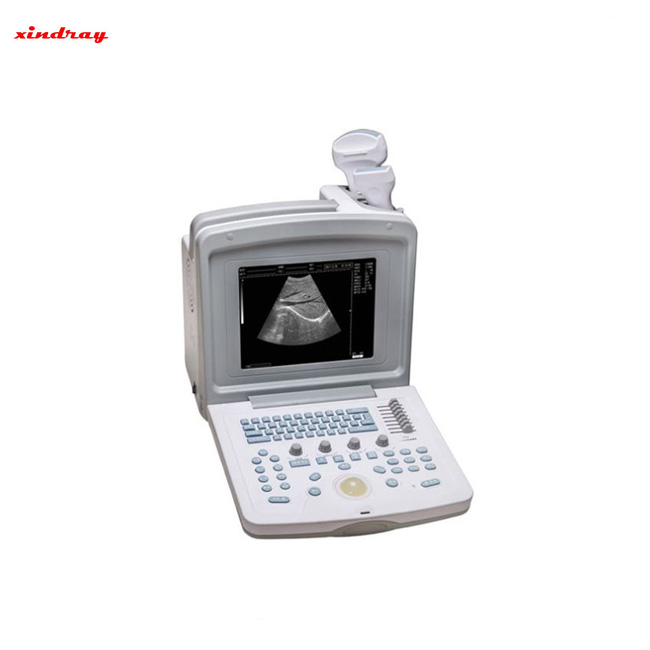 Portable B/W Ultrasound Machine