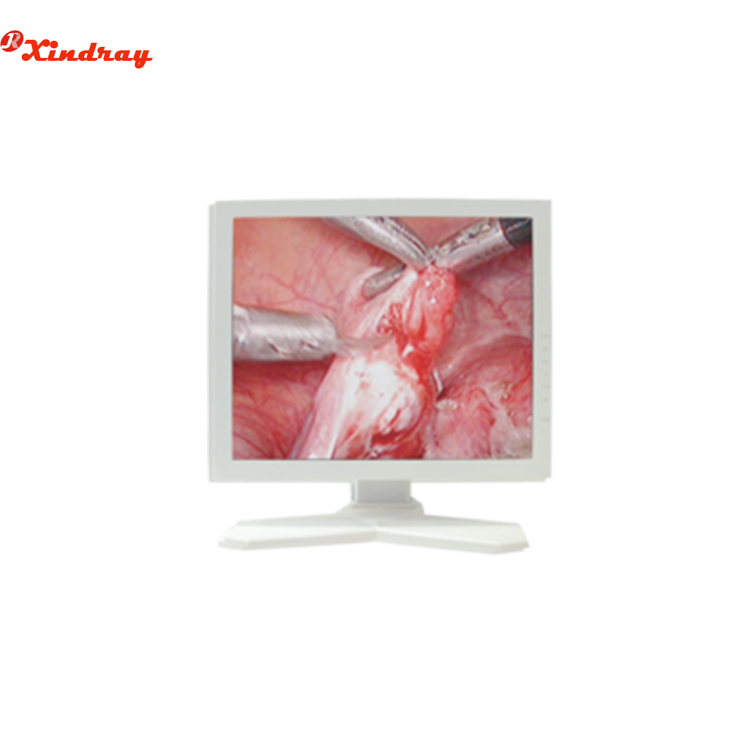 Monitor for Endoscope 