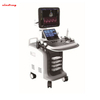 3D 4D Color Doppler Ultrasound