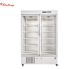 Large Digital Display 656L/1006L 2-8 Degree Pharmacy Refrigerator With Locking Door