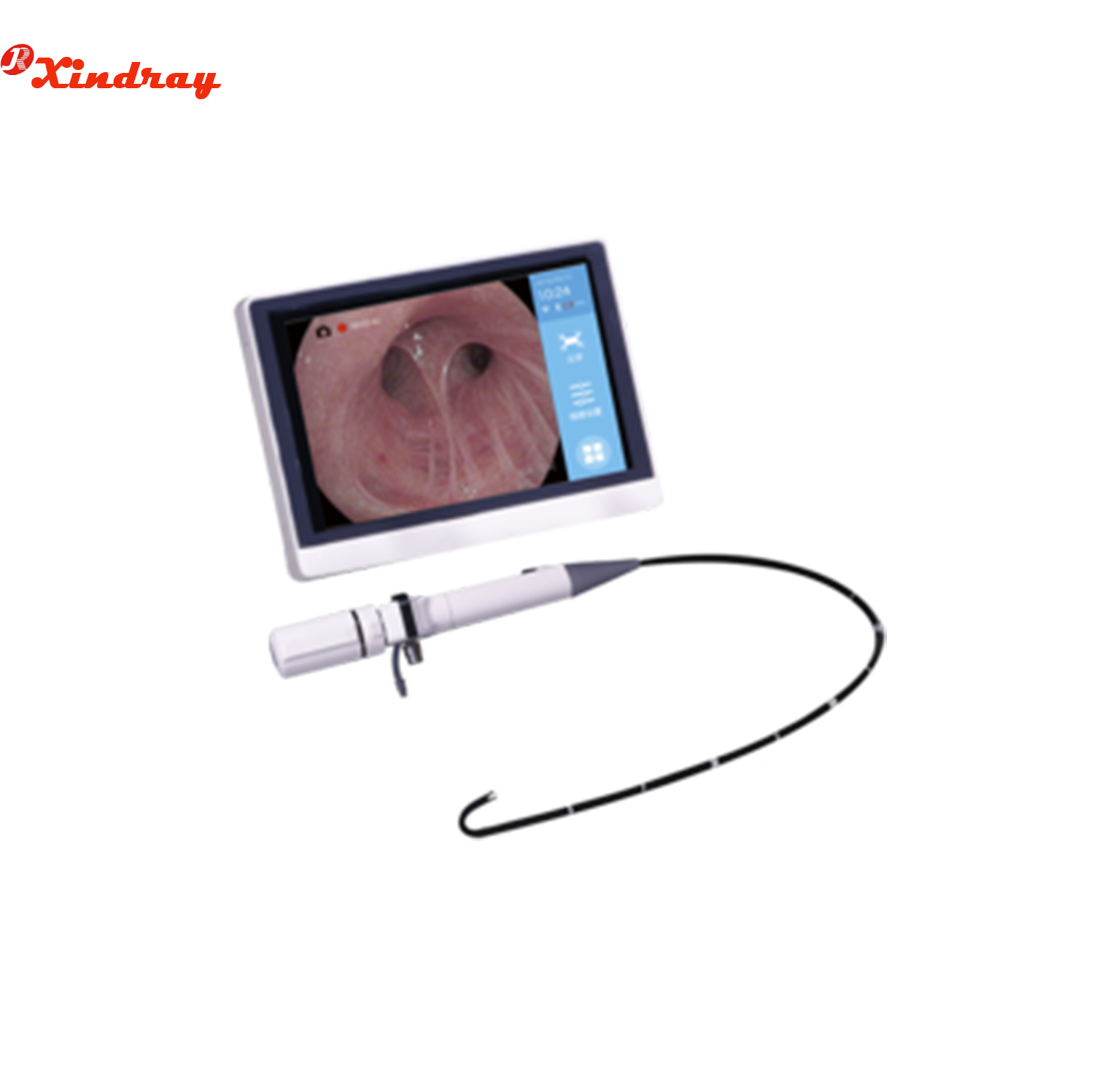 Electronic Endoscope ENT Portable Video Bronchoscope