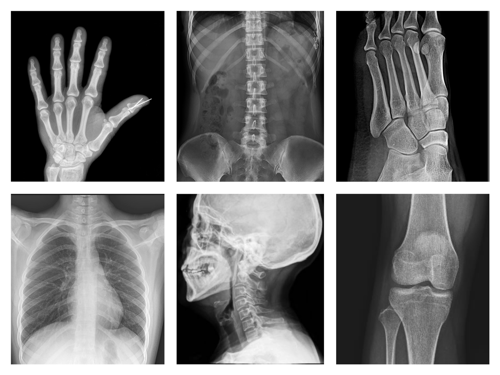 0734ebafbabe0a7c36ee1cafeec1859