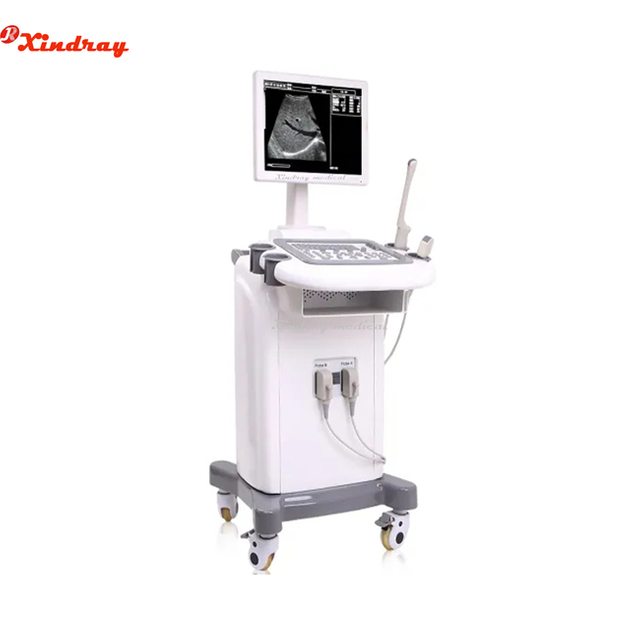 Full Digital B&W Trolley Ultrasound Scanner 